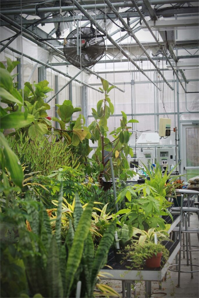 greenhouse circulation fan and irrigation controls